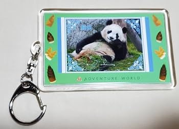 Amazon.co.jp: アドベンチャーワールド パンダ楓浜 アクリル